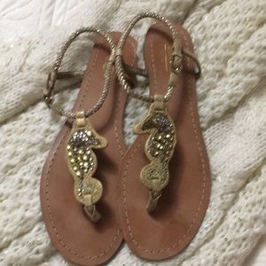 Coach seahorse sandals!
